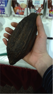 Cacao Fruit