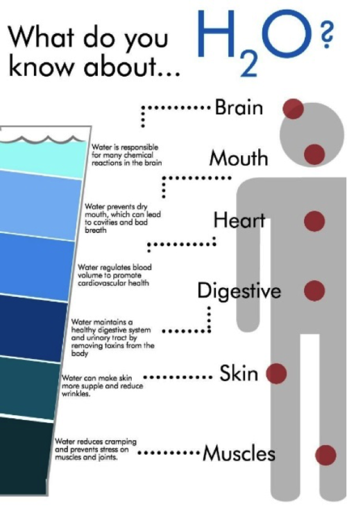 What color should urine be in a healthy person?