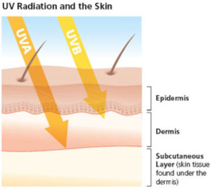 UV Radiation