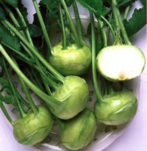 green kohlrabi