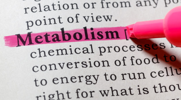 metabolism