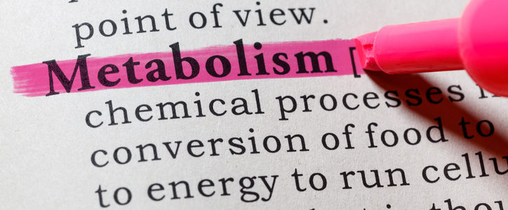 metabolism