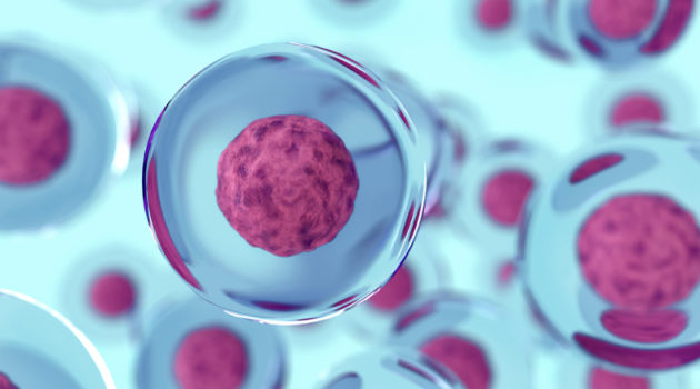 cells