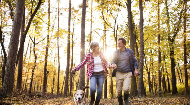 couple walking dog