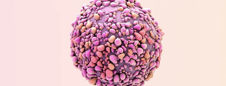 breast cancer cell