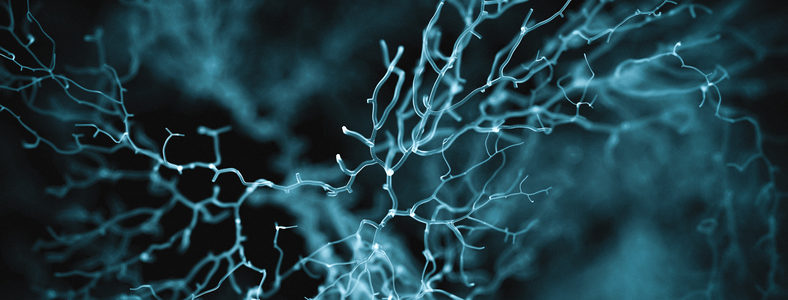 neuron system