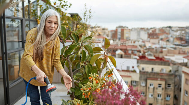 Woman watering plant.