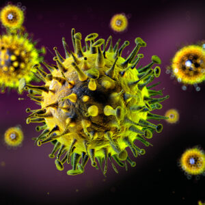 Virus cell.